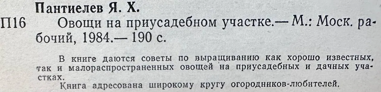 Овощи на приусадебном участке фото 4