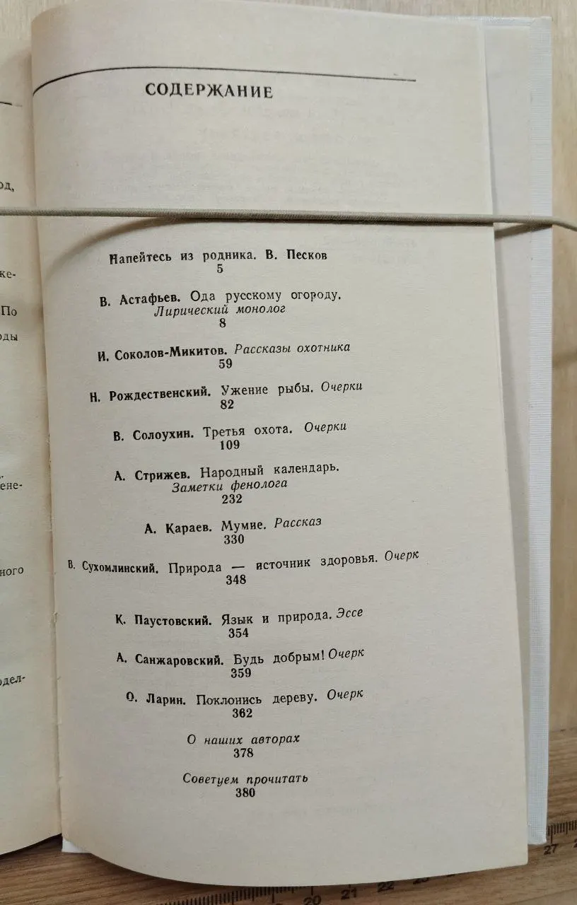 Живица фото 3