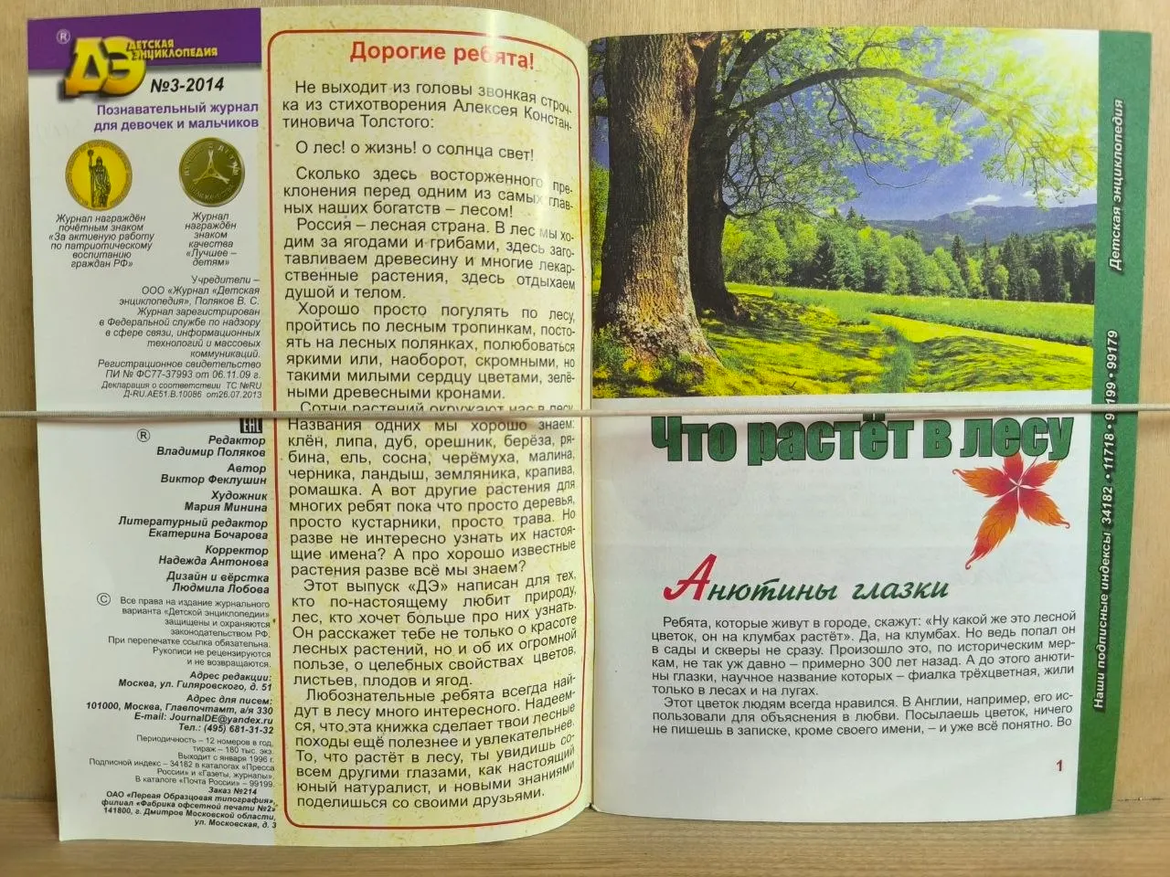 Что растёт в лесу. № 3 2014. Детская энциклопедия фото 2