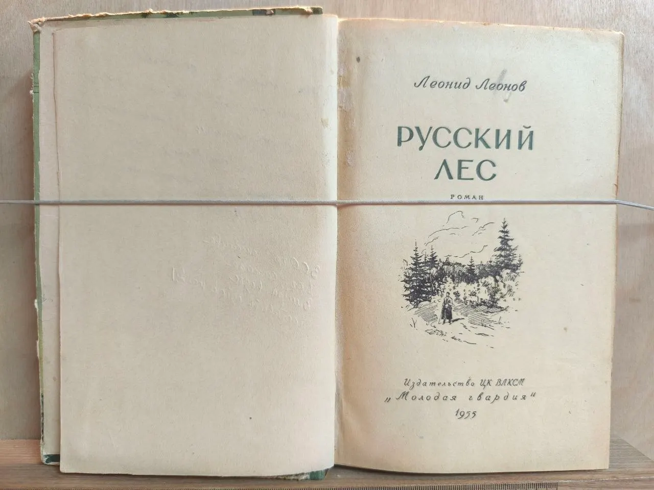 Русский лес фото 2