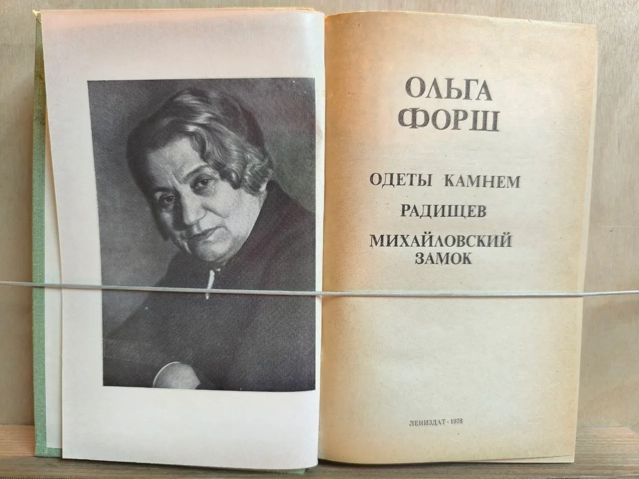Одеты камнем. Радищев. Михайловский замок фото 2