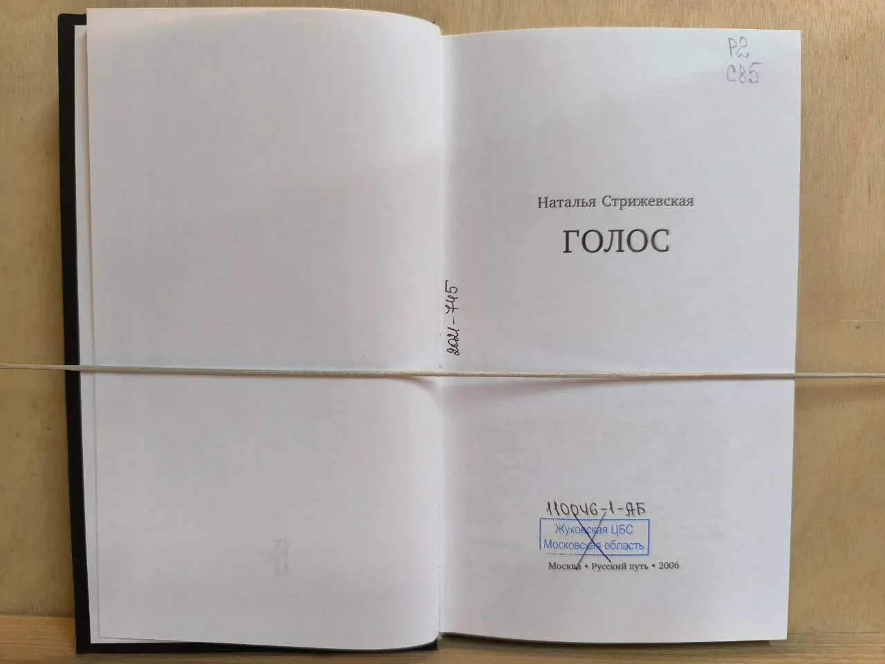 Голос фото 2