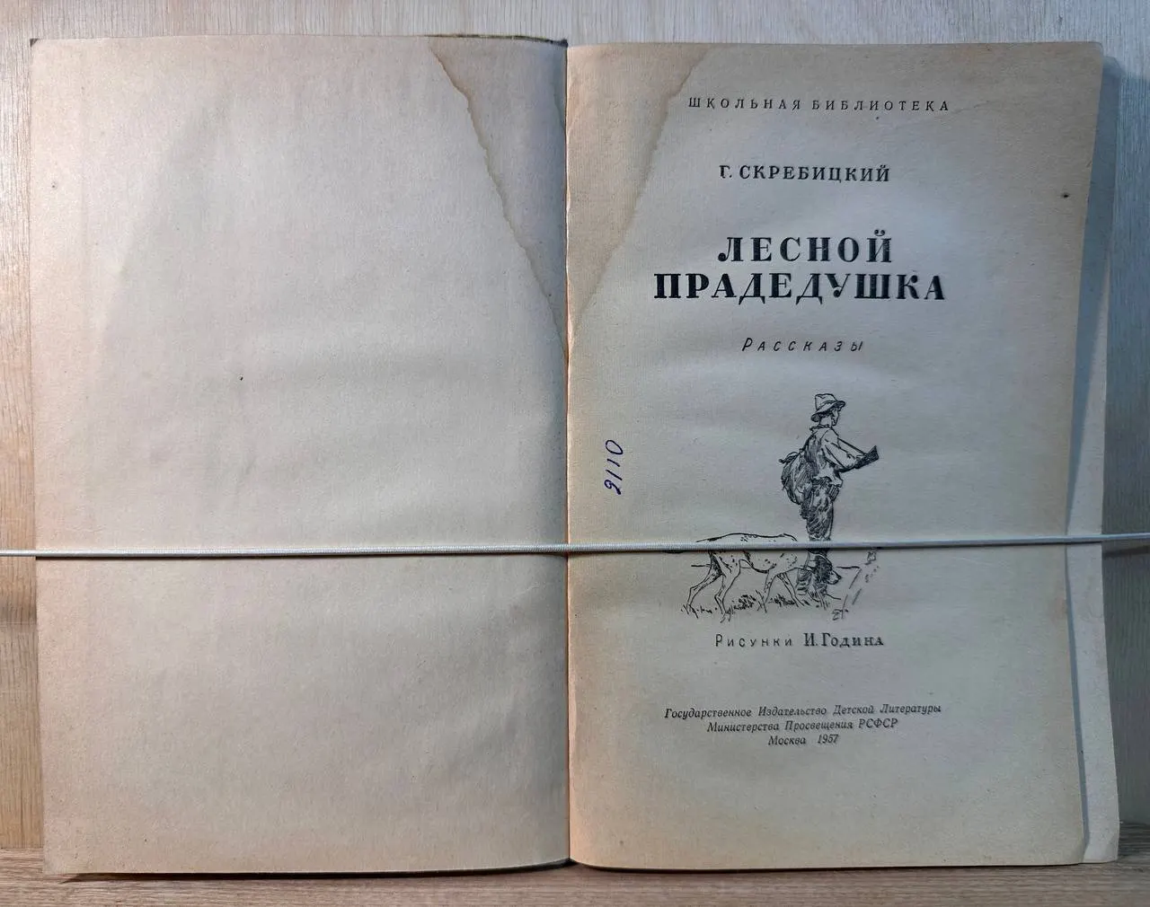 Лесной прадедушка фото 2