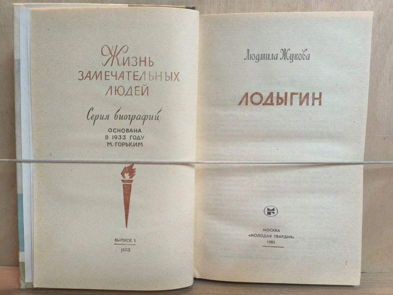 Лодыгин фото 2