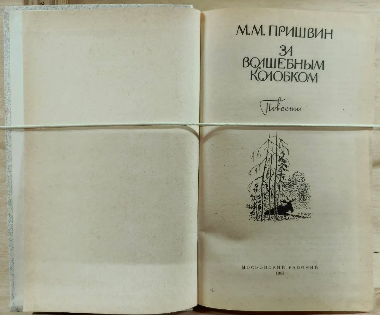 За волшебным колобком фото 2