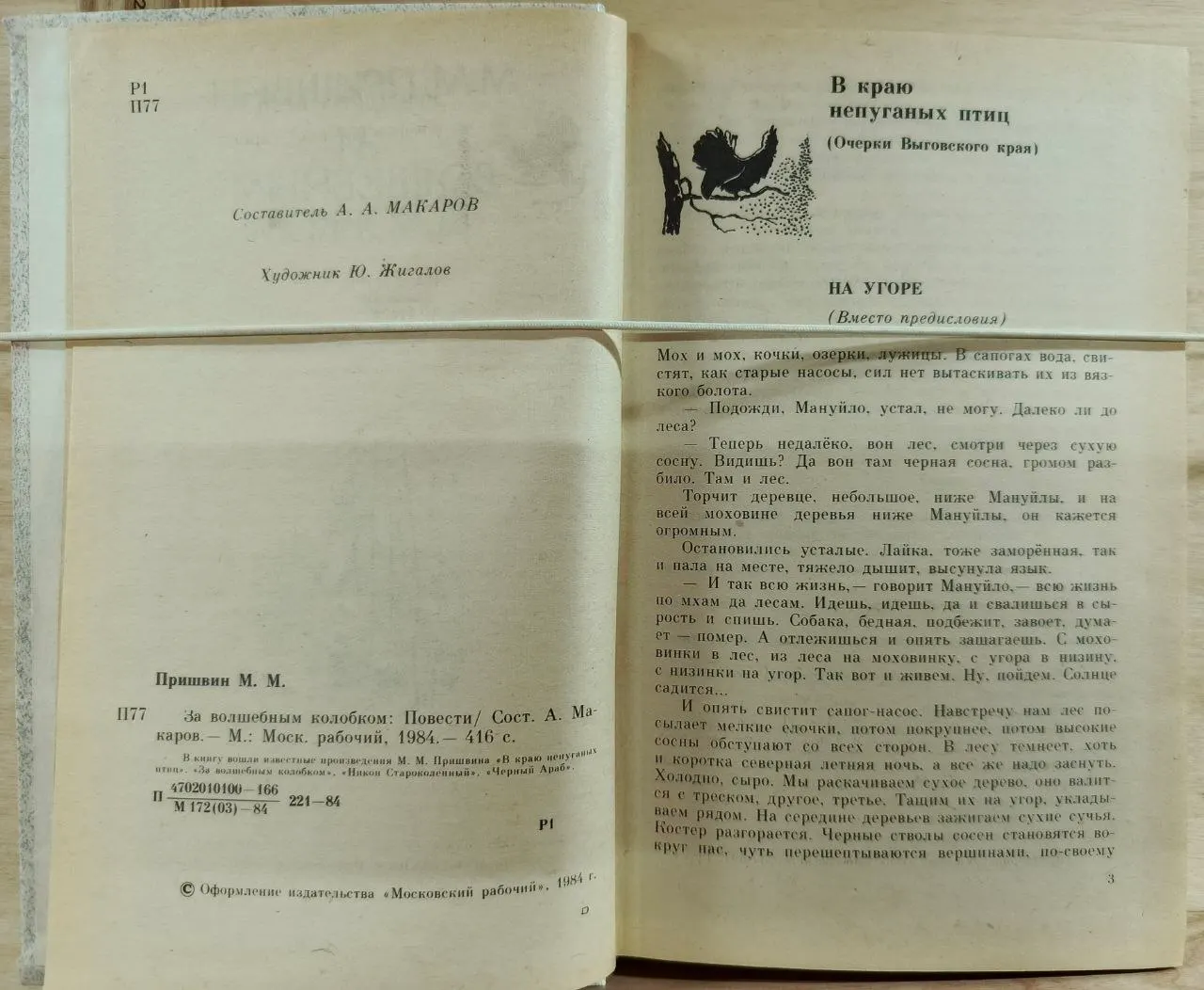 За волшебным колобком фото 3