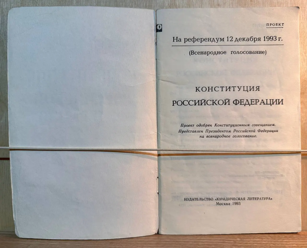 Конституция Российской Федерации. Проект фото 2