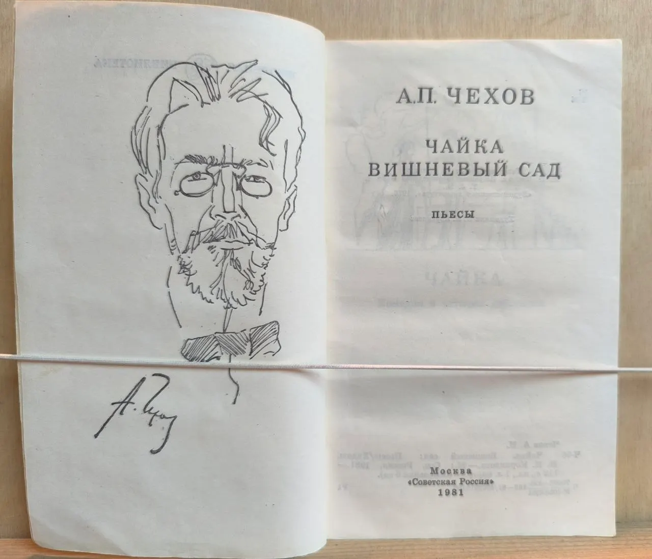 Чайка. Вишневый сад фото 2