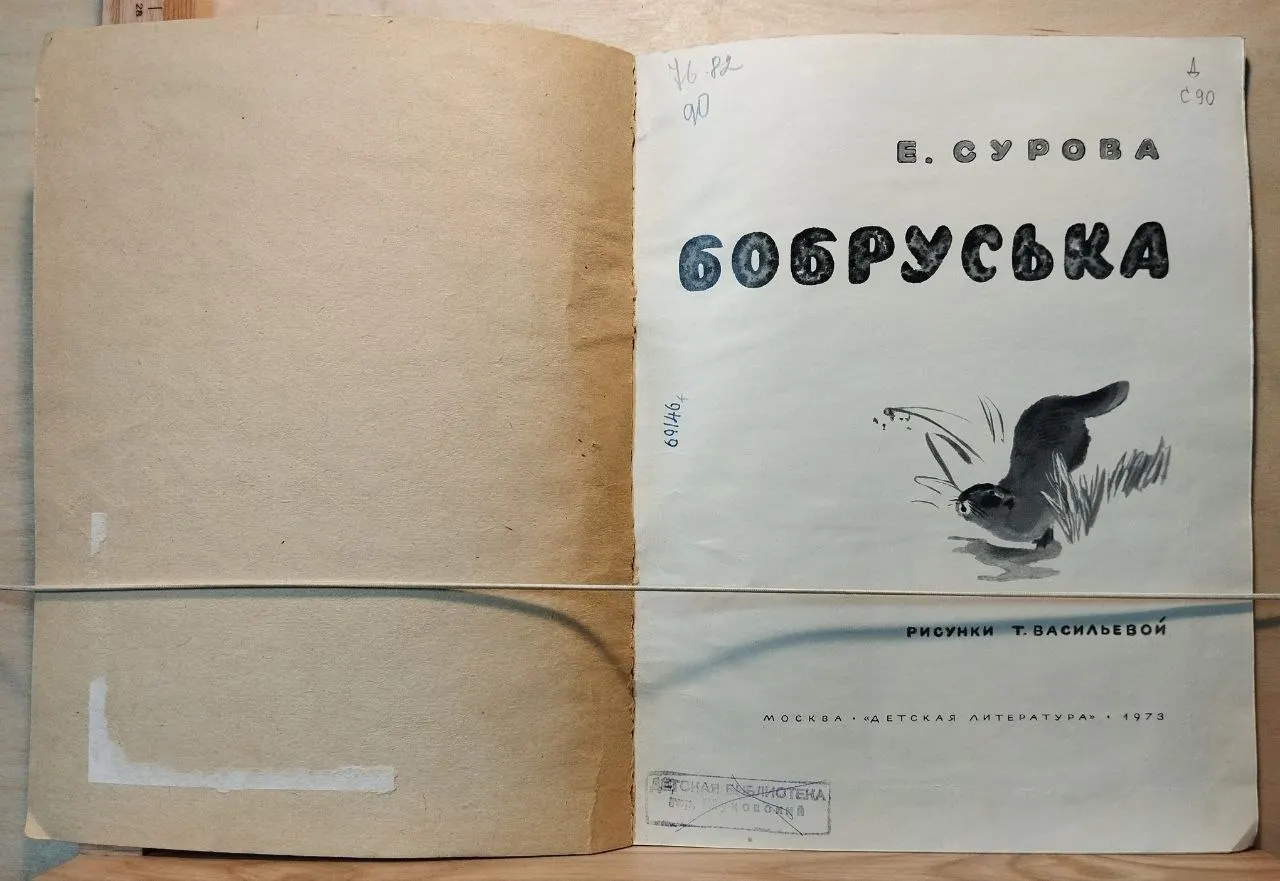 Бобруська фото 2