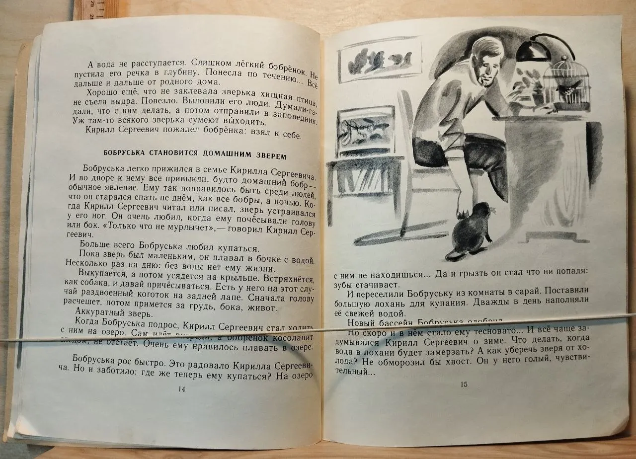 Бобруська фото 4