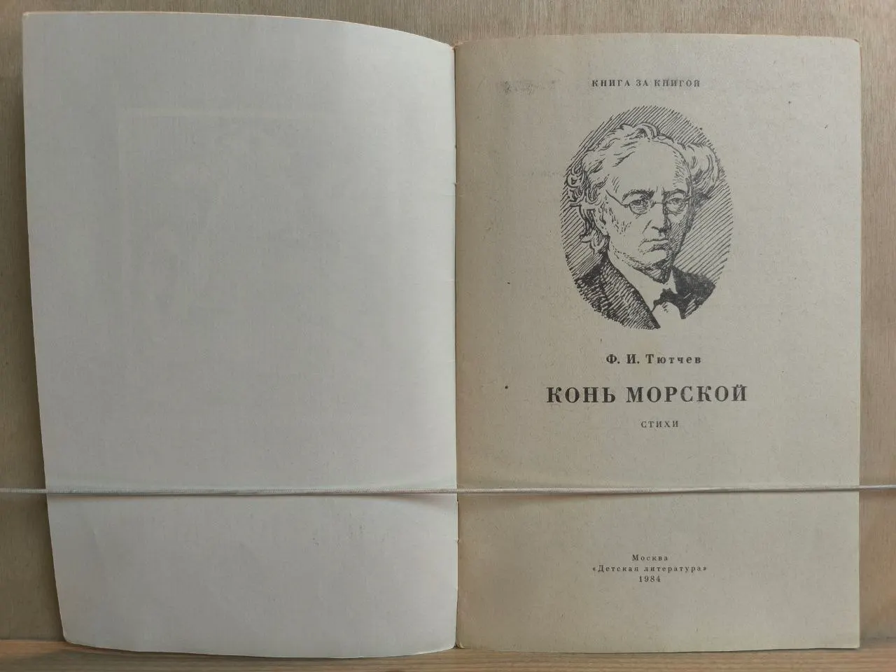 Конь морской фото 2