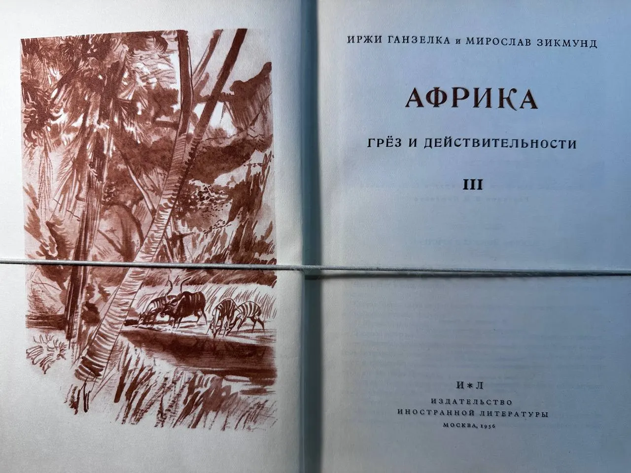 Африка грёз и действительности фото 2