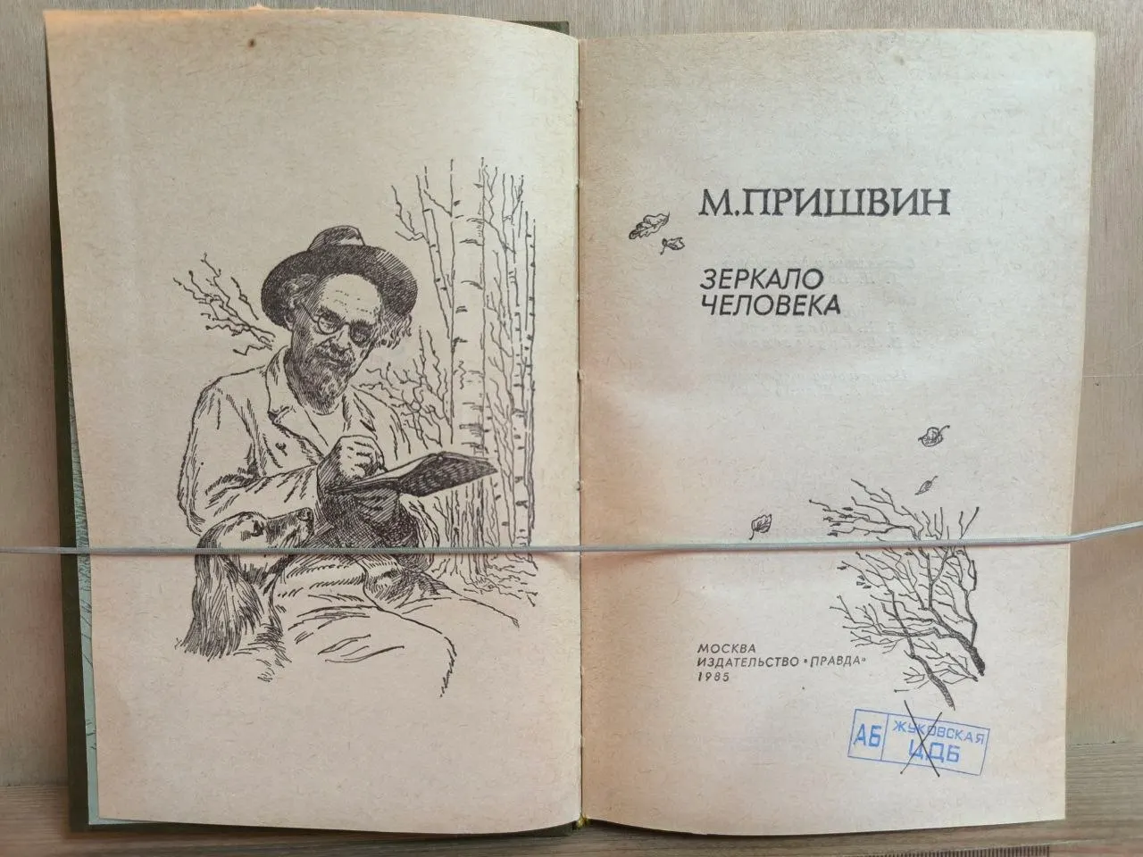 Зеркало человека фото 2