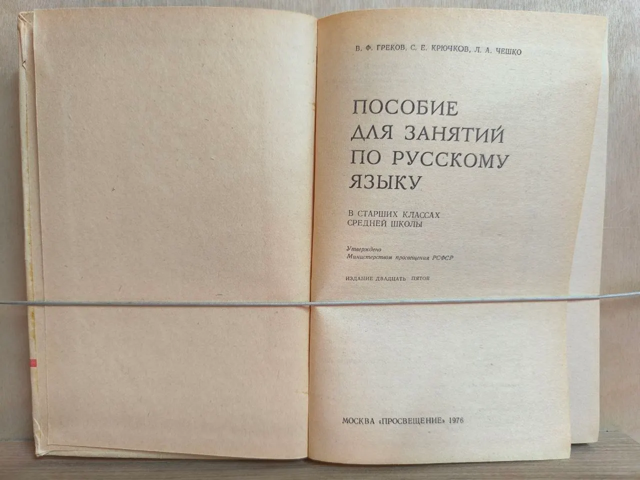 Пособие для занятий по русскому языку в старших классах средней школы фото 2