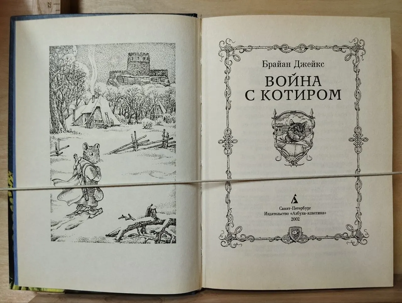 Война с Котиром фото 2