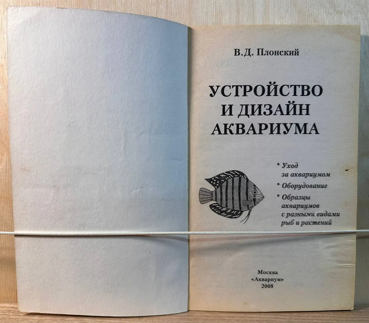 Устройство и дизайн аквариума фото 2