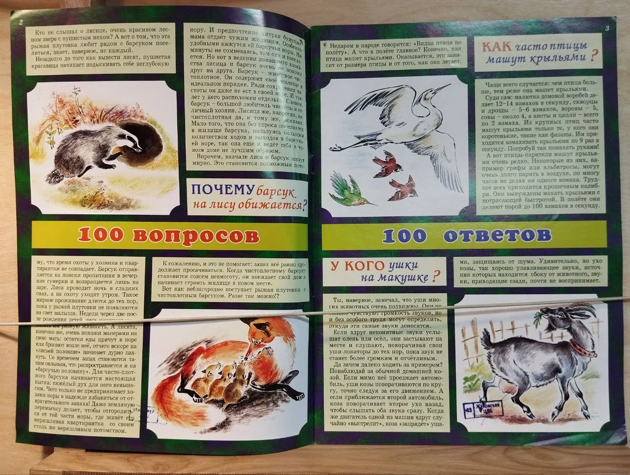 Журнал "Отчего и почему" № 9 сентябрь 2008 фото 2