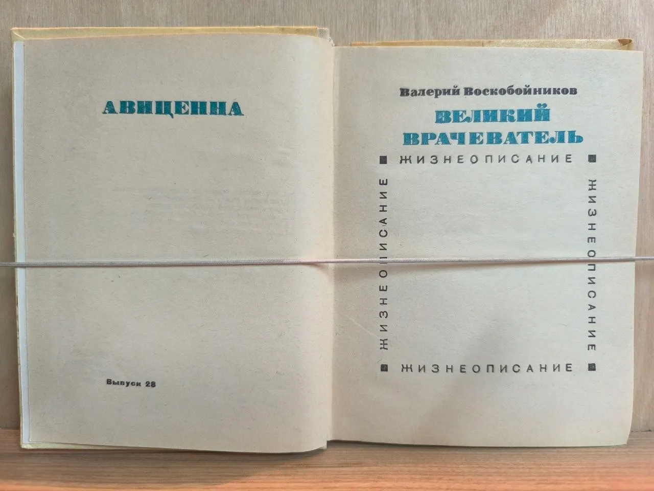 Великий врачеватель. Жизнеописание фото 3