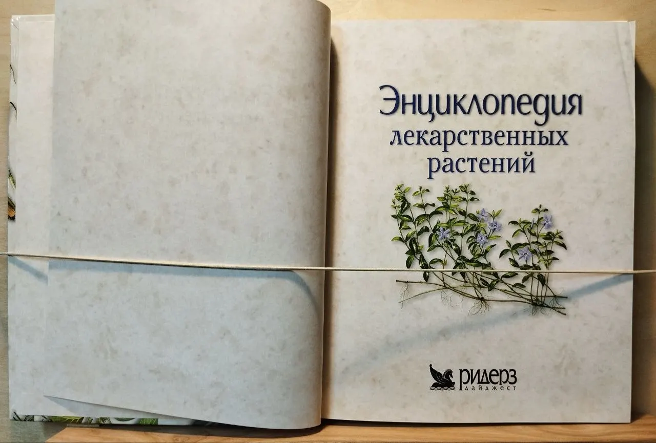Энциклопедия лекарственных растений фото 2