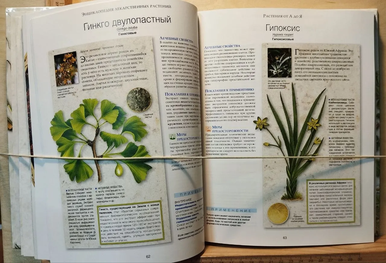 Энциклопедия лекарственных растений фото 4