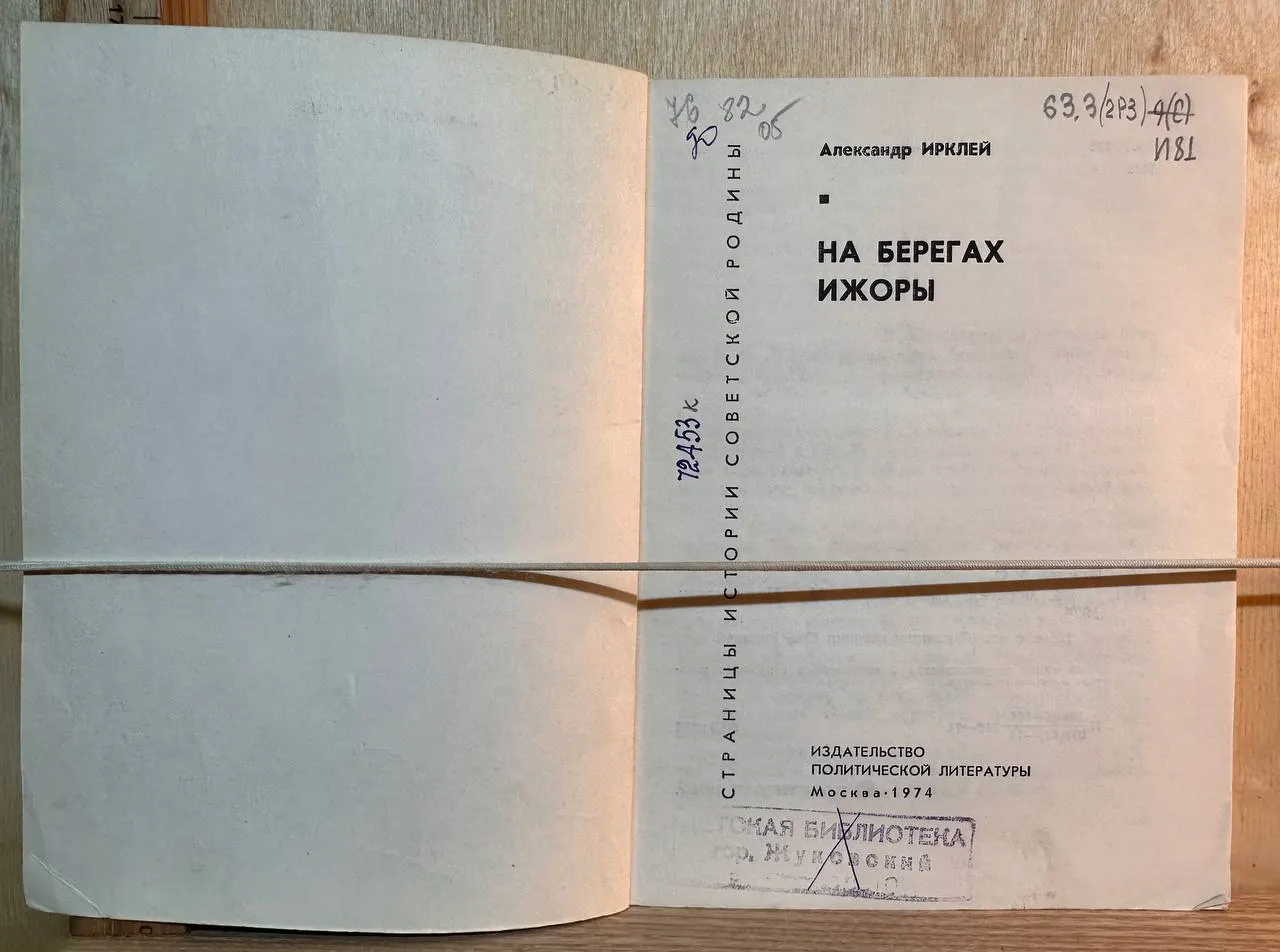 На берегах Ижоры фото 2