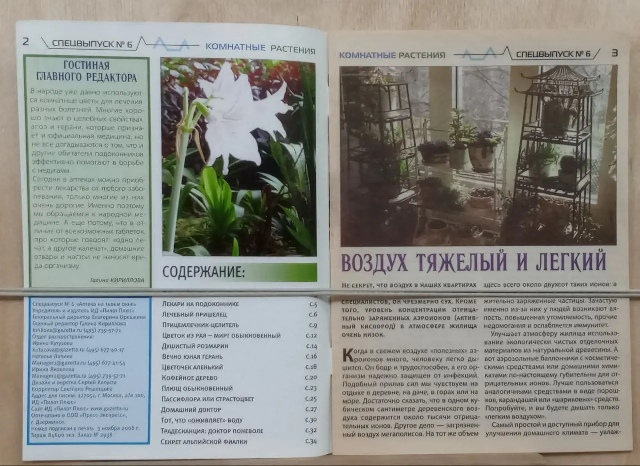 Твой доктор. Спецвыпуск: Аптека на твоем окне № 6 (ноябрь) 2008 фото 2