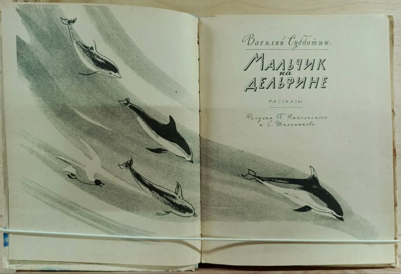 Мальчик на дельфине фото 2
