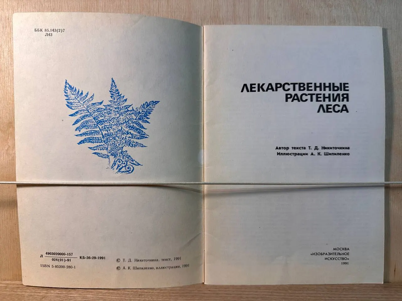 Лекарственные растения леса фото 2