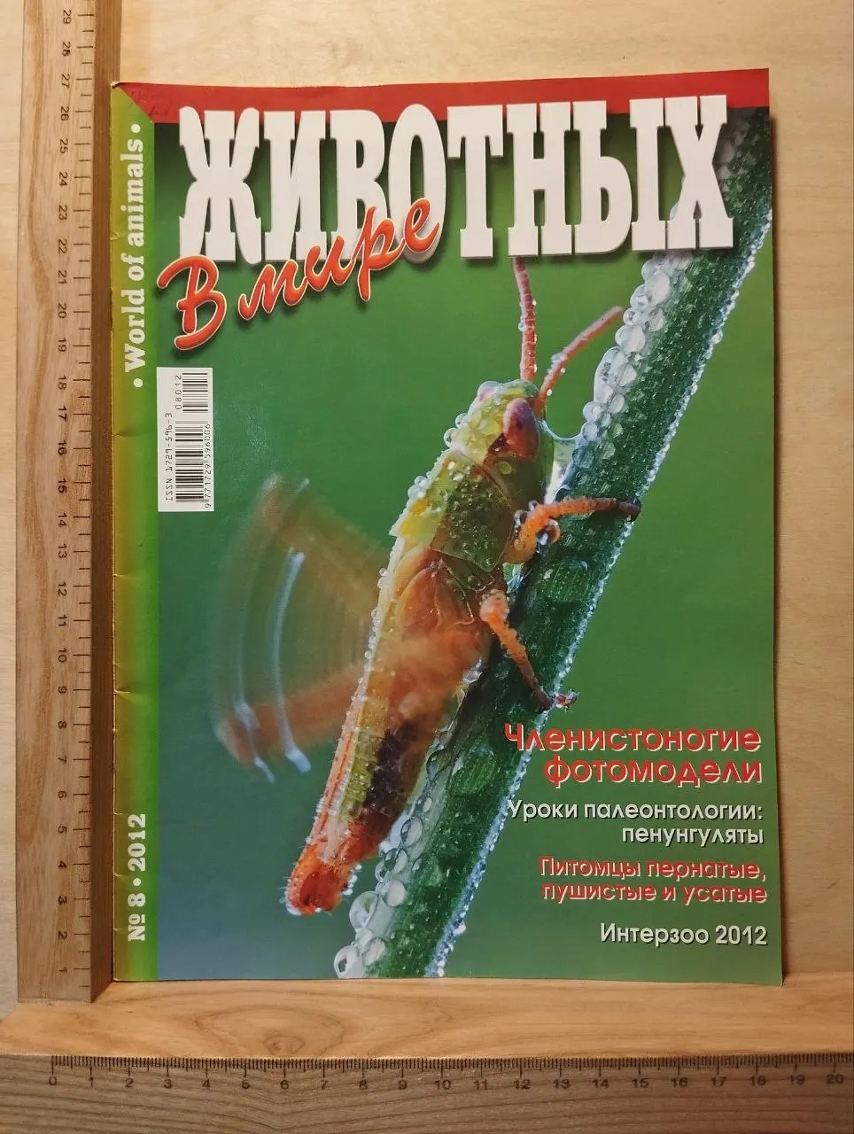 Журнал "В мире животных" №8 2012 г.