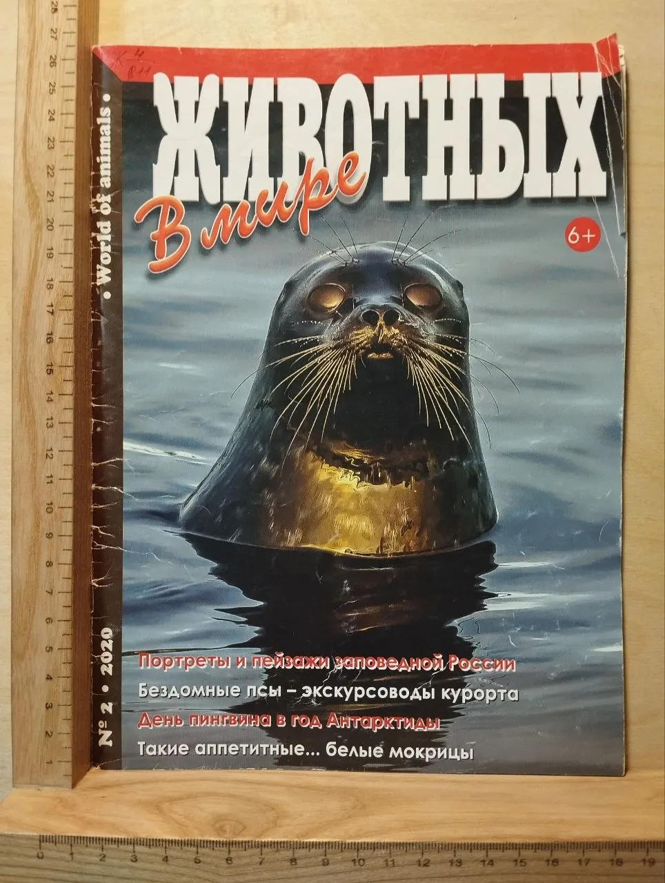 Журнал "В мире животных" №2 2020 г.