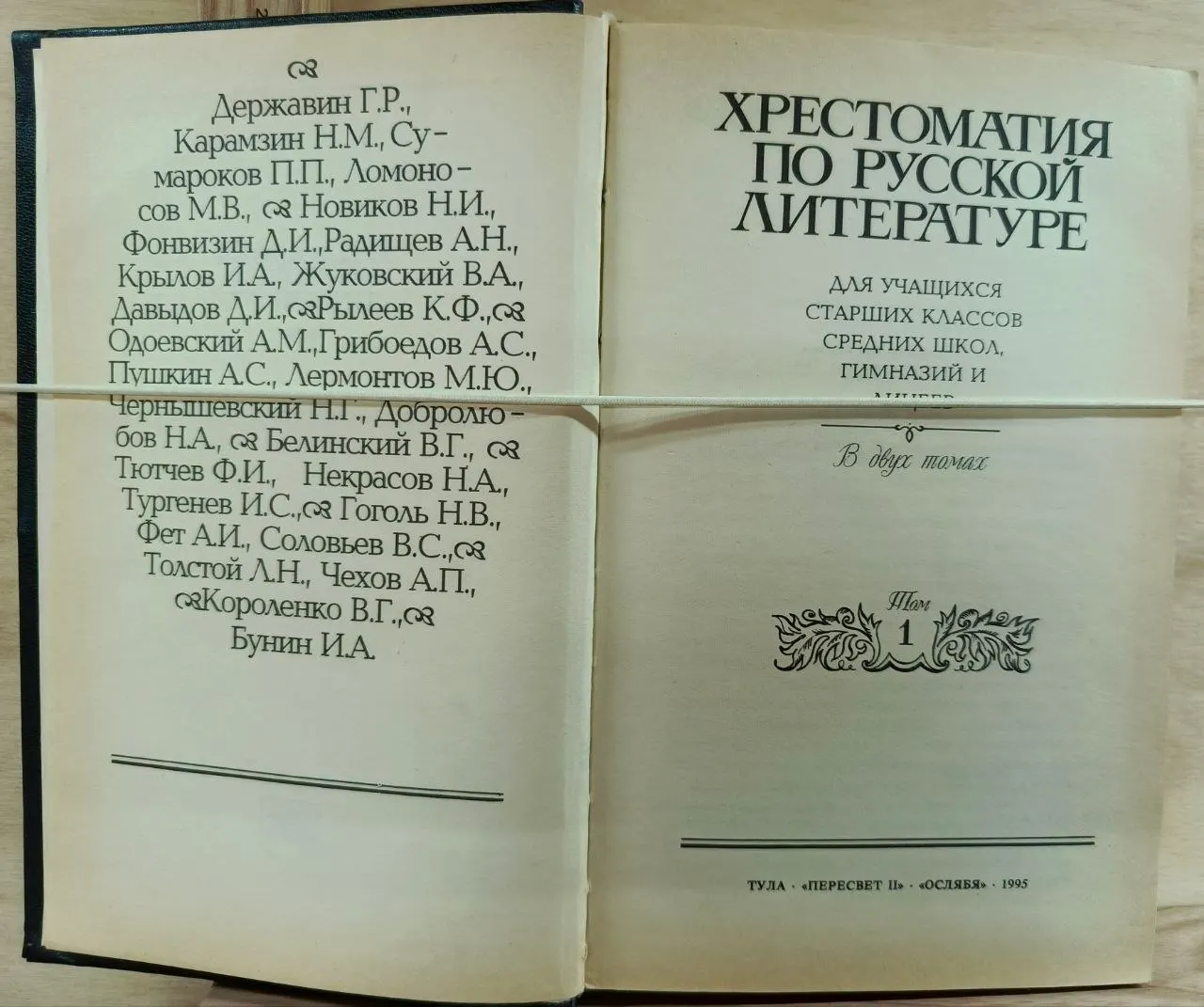 Хрестоматия по русской литературе для старших классов. Том 1 фото 2