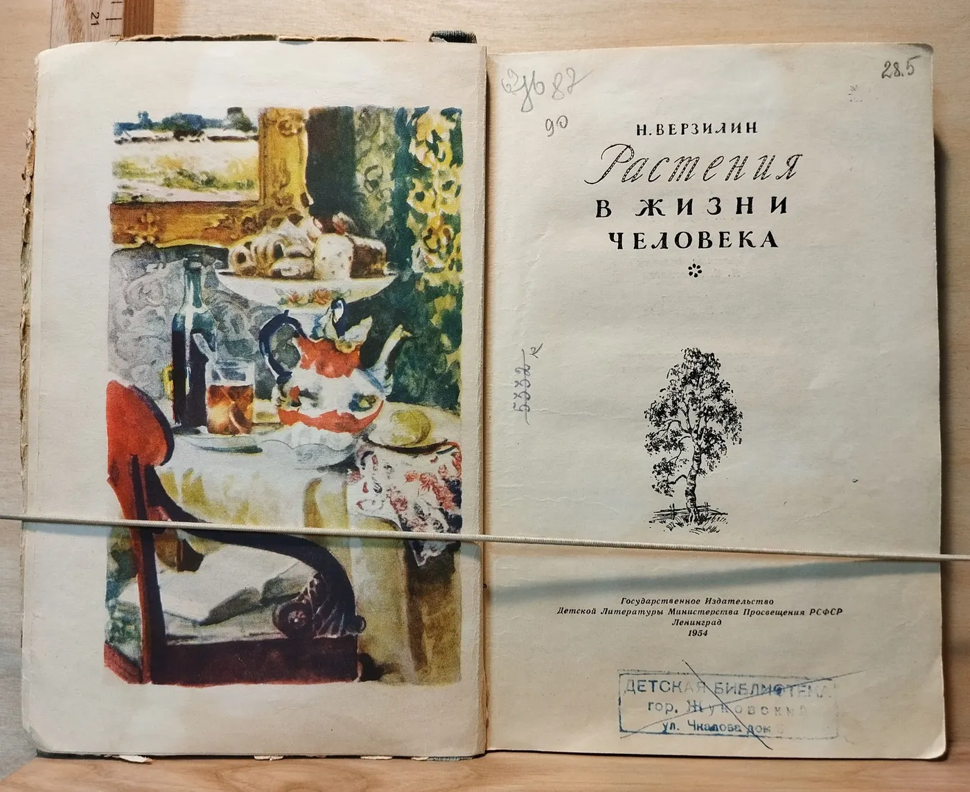 Растения в жизни человека фото 2