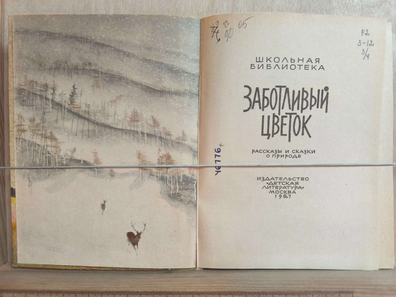 Заботливый цветок. Рассказы и сказки о природе фото 2