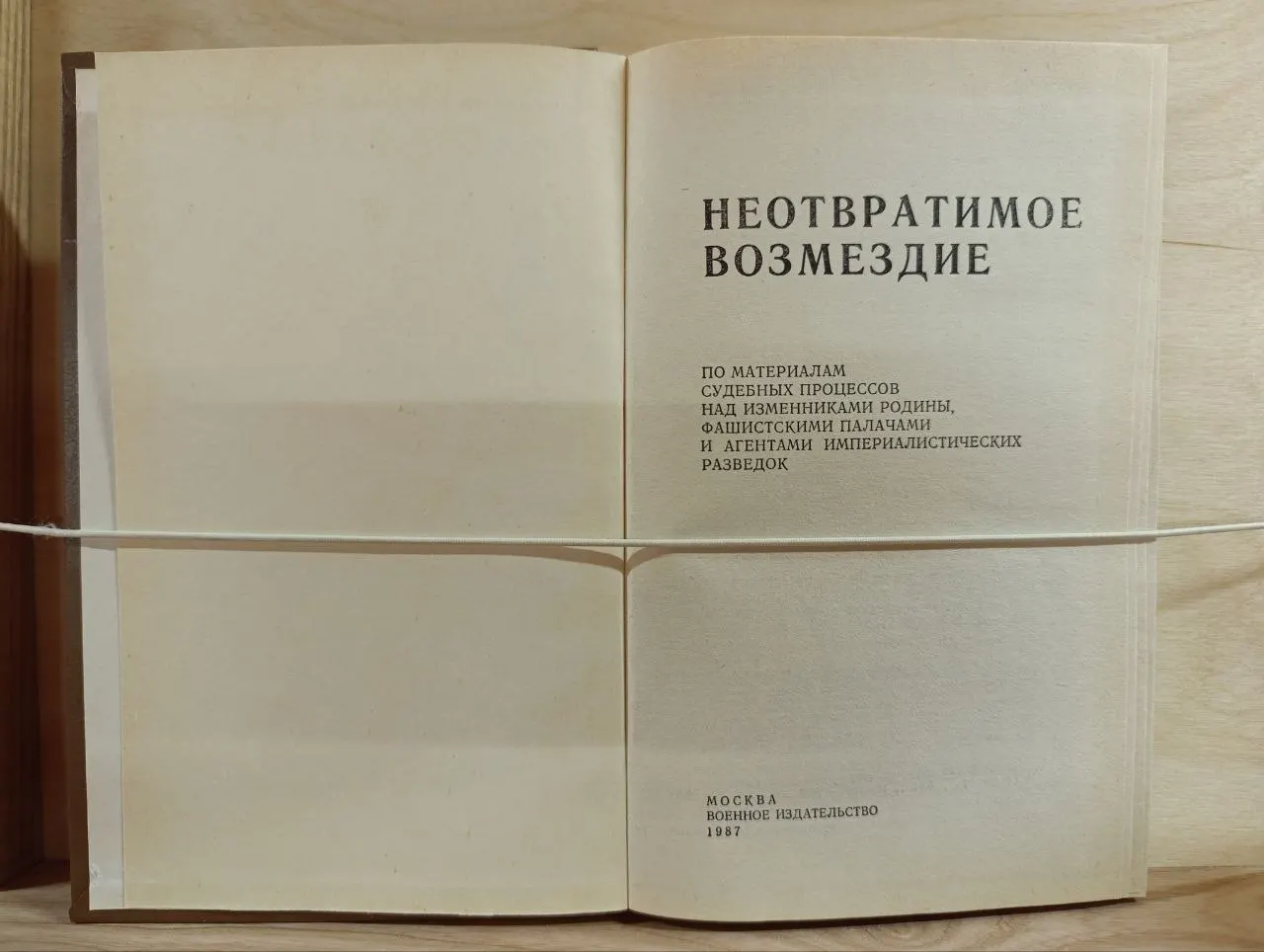 Неотвратимое возмездие фото 2