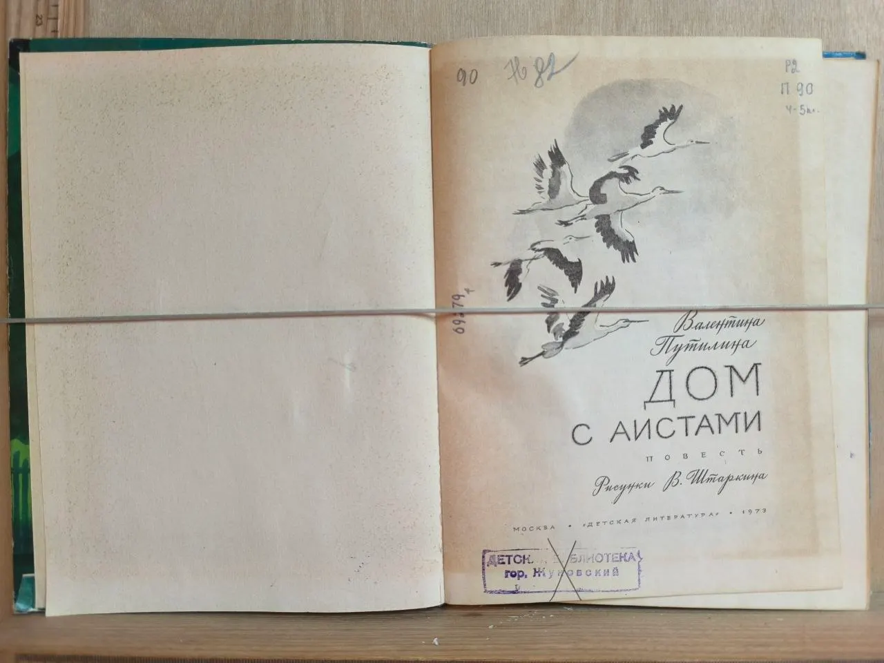 Дом с аистами фото 2
