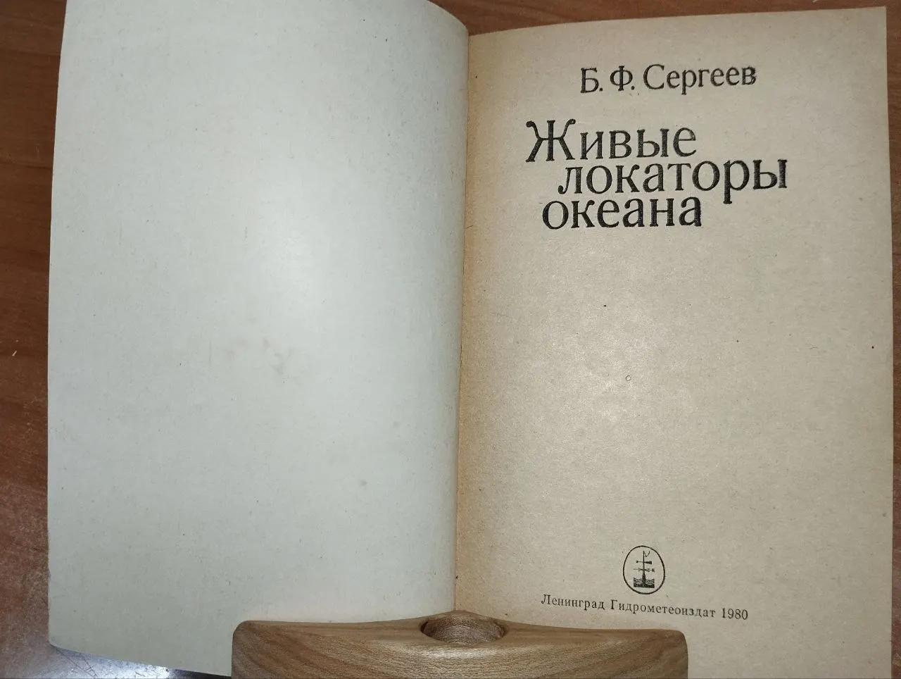 Живые локаторы океана фото 3