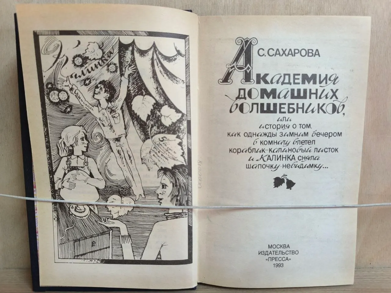Академия домашних волшебников, или История о том, как однажды зимним вечером в комнату влетел кораблик калиновый листок и Калинка сняла шапочку-невидимку фото 2