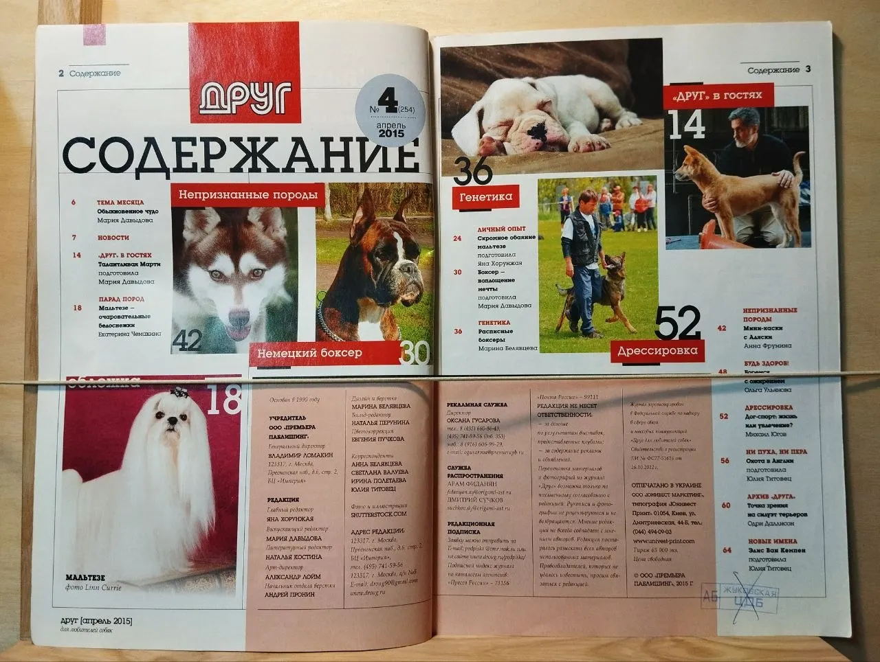 Журнал "Друг. Для любителей собак" №4 апрель 2015 г. фото 2