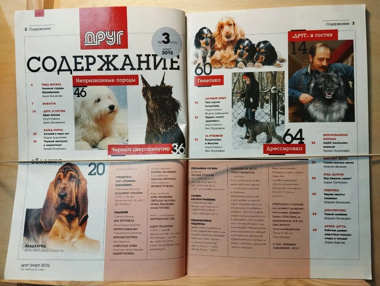 Журнал "Друг для любителей собак" №3 март 2015 г. фото 2