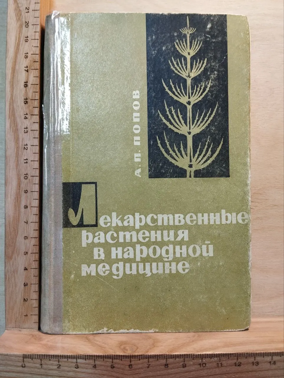 Лекарственные растения в народной медицине