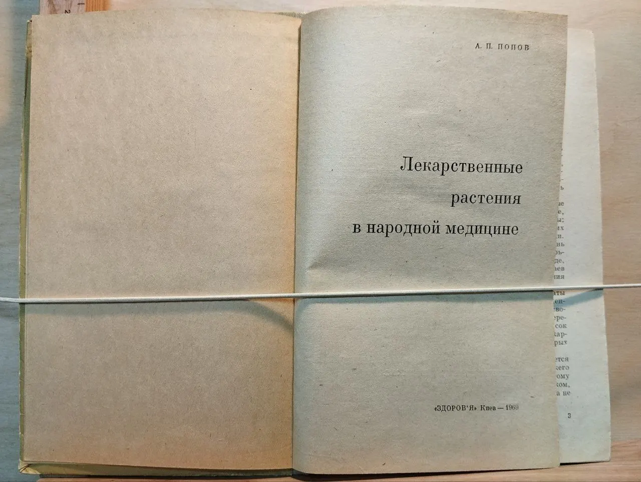 Лекарственные растения в народной медицине фото 2