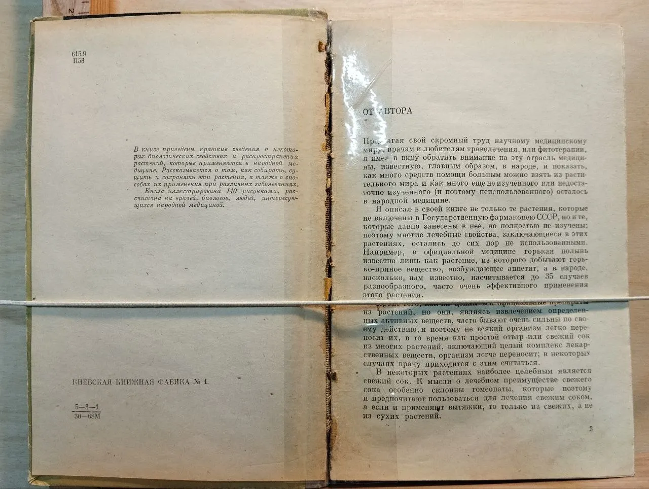 Лекарственные растения в народной медицине фото 3