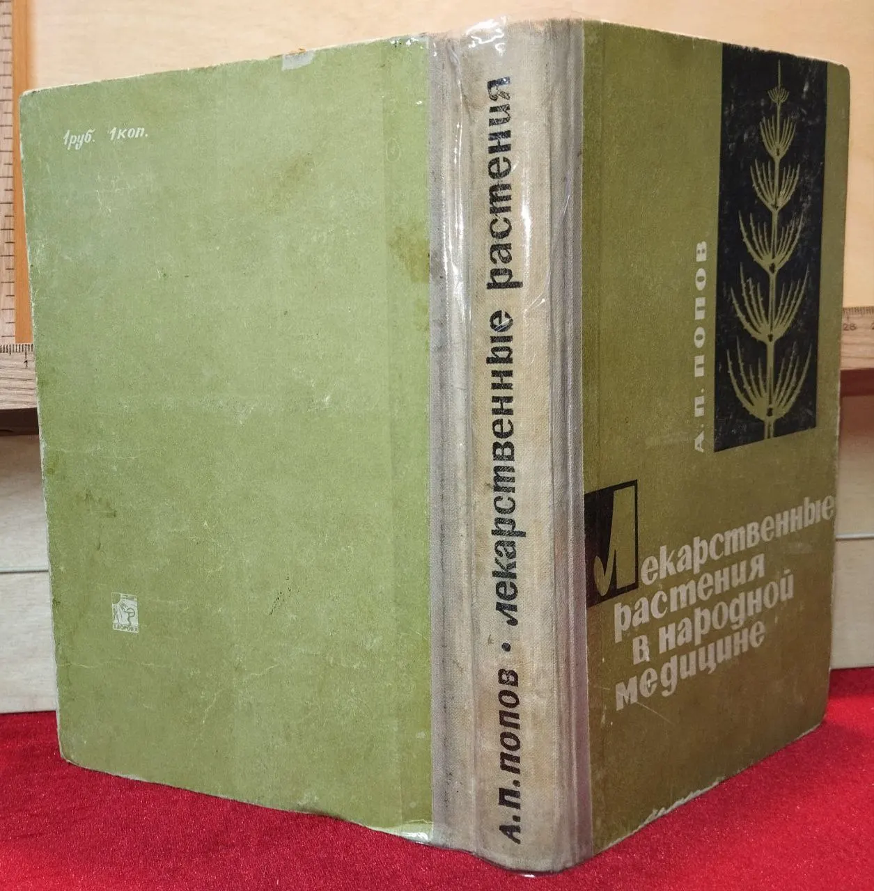 Лекарственные растения в народной медицине фото 8