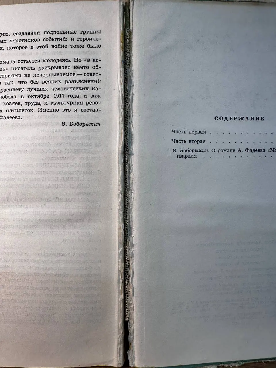 Молодая гвардия фото 5