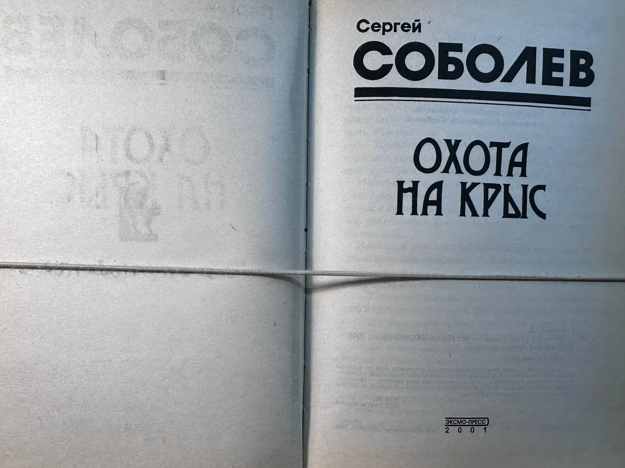 Охота на крыс фото 2