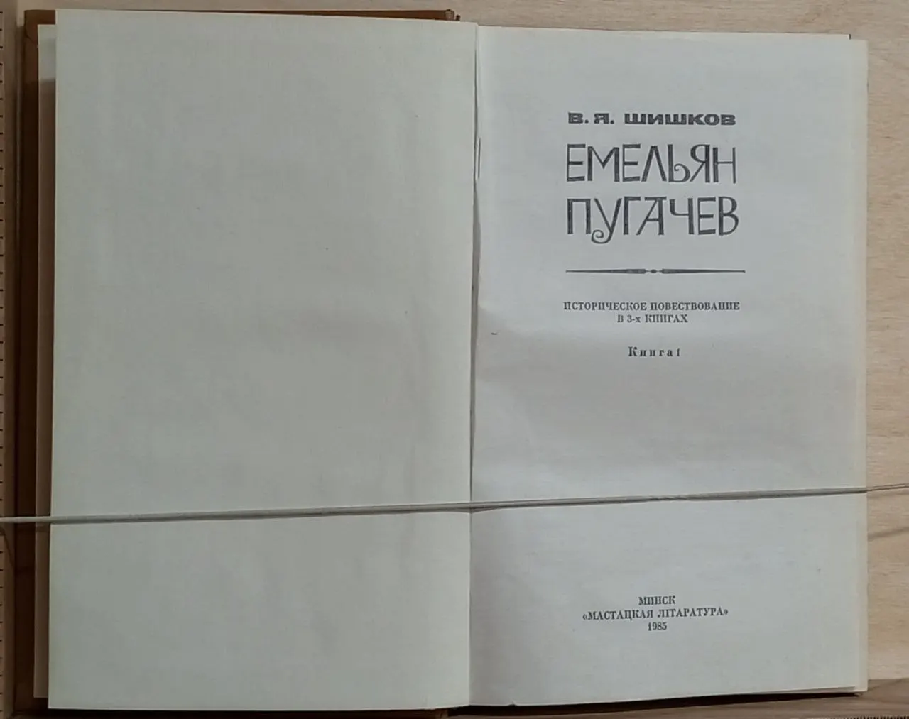 Емельян Пугачев. Историческое повествование в 3-х книгах. Книга 1 фото 2
