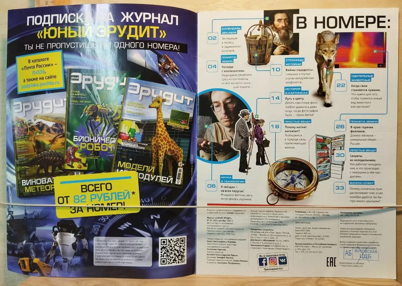 Юный эрудит №12 2021. Соседи или братья? Как появляются новые виды животных фото 2