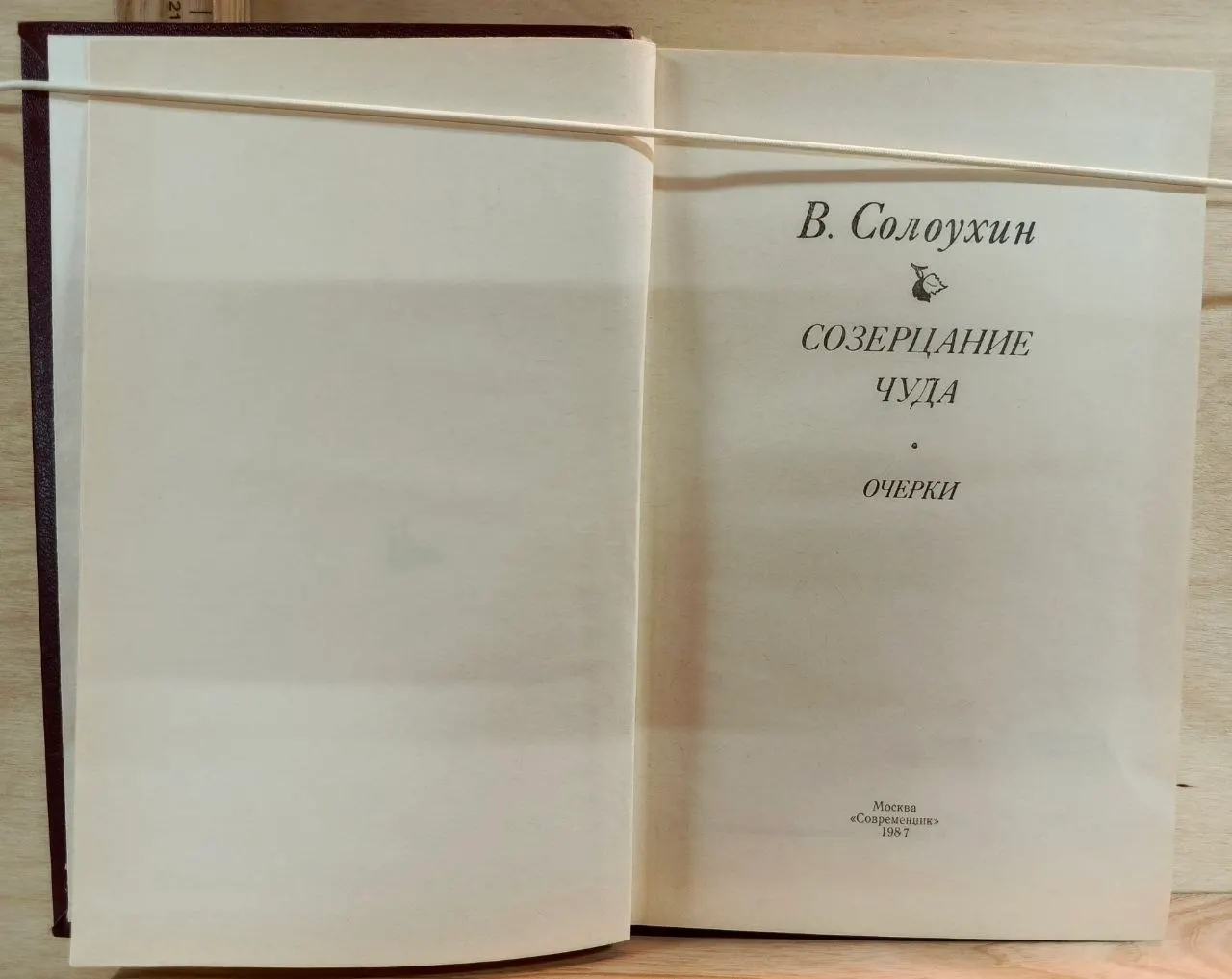 Созерцание чуда. Очерки фото 2