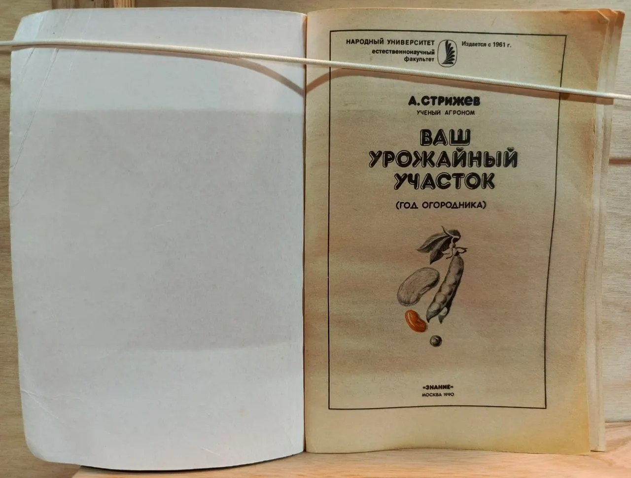 Ваш урожайный участок фото 2