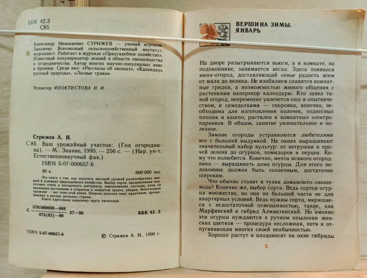 Ваш урожайный участок фото 3